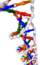 Business DNA