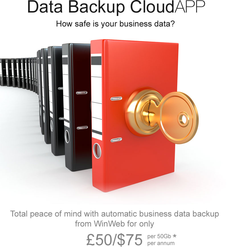 Data Backup CloudAPP - How safe is your business data?