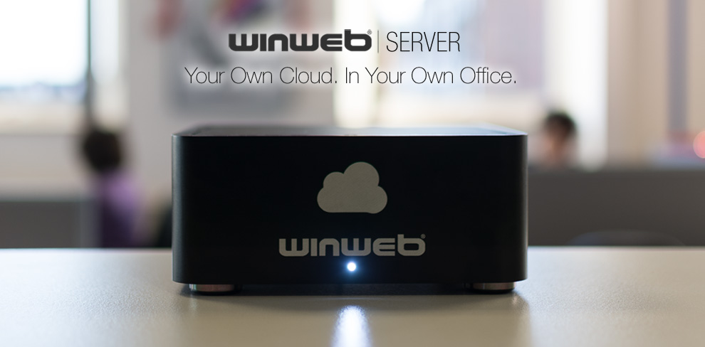 WinWeb Server 
